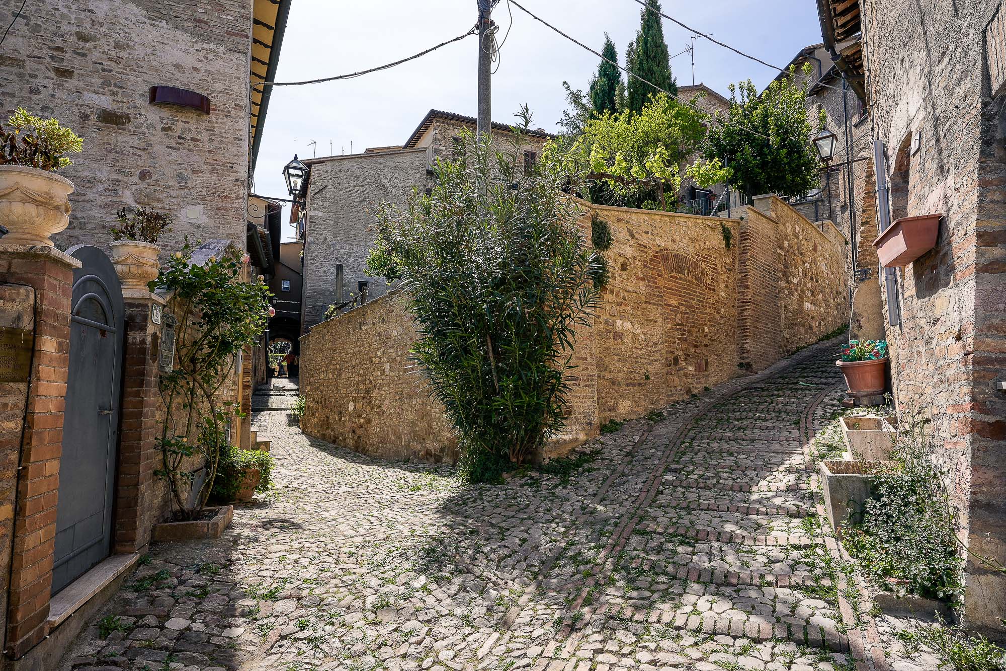 Montefalco: Medieval Charm and Red Wine Splendor — photo 6