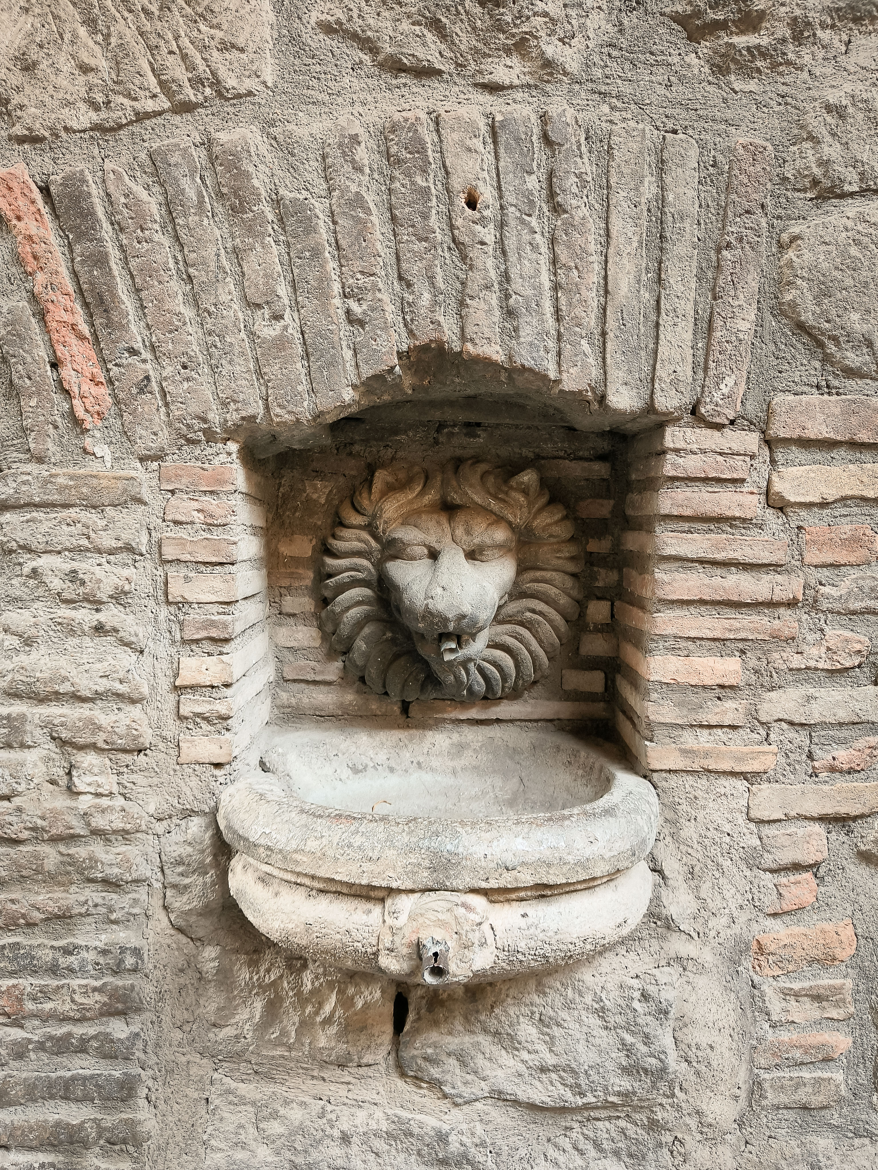 Viterbo Medieval Filming | 60 Minutes from Rome — photo 5