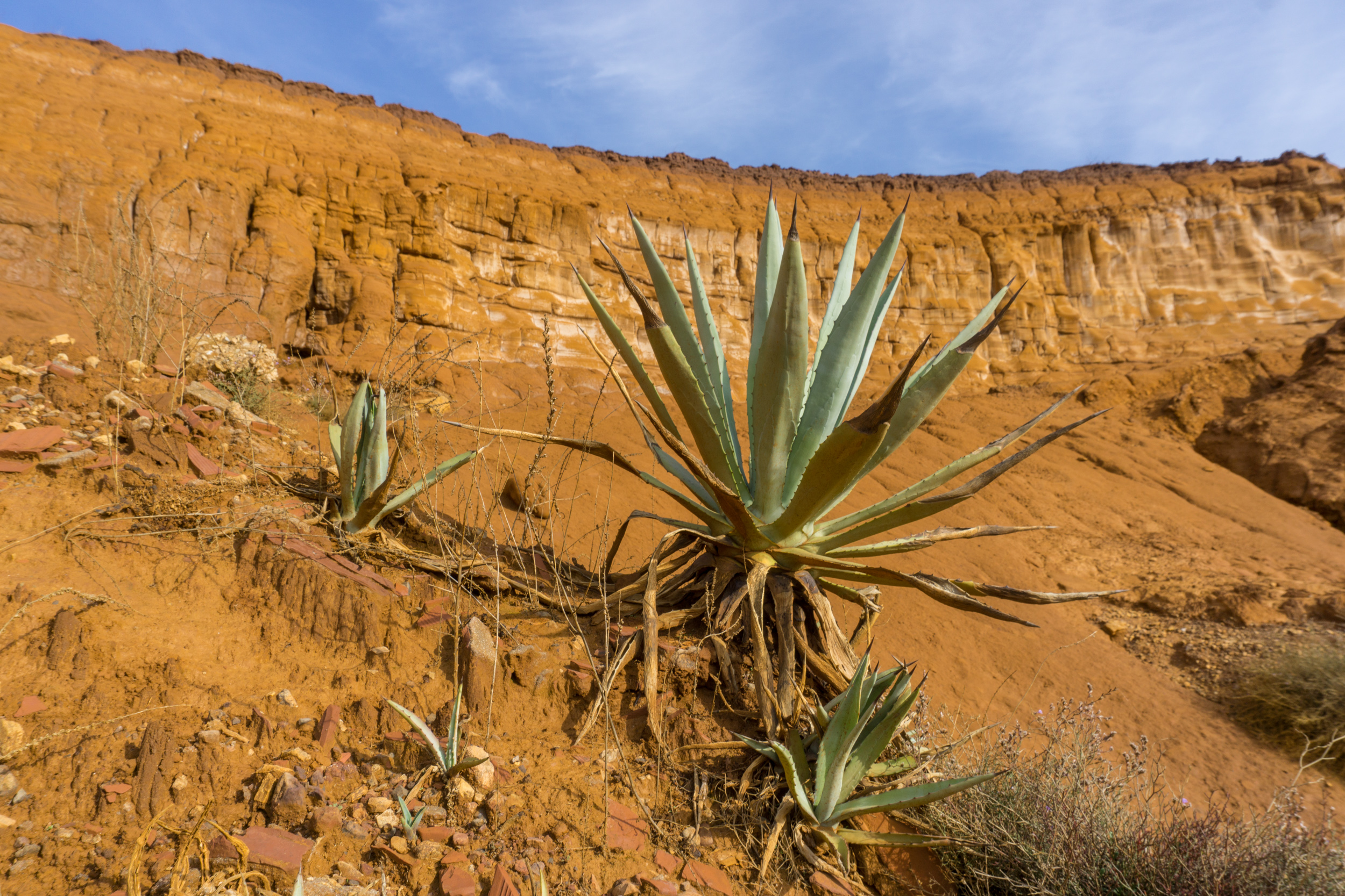 Sardinia Wild Interior | Quarry Landscapes for Unique Productions — photo 3